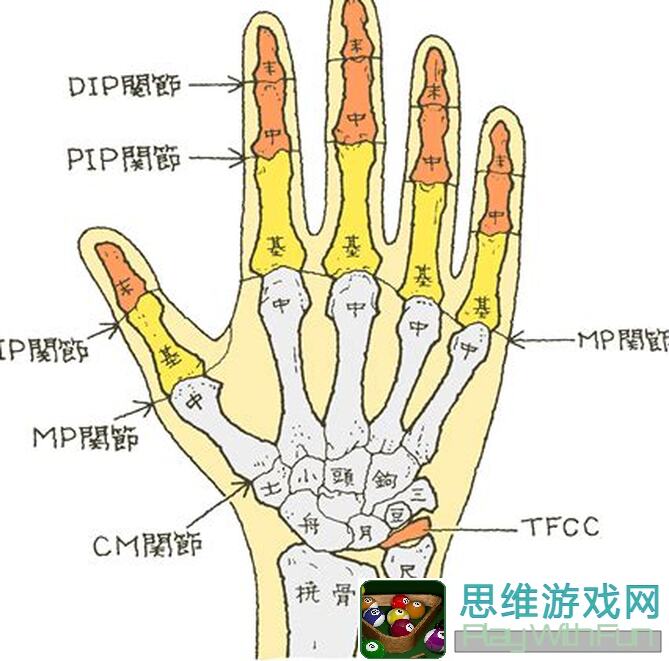 手残党必看！5步解析暴走英雄坛寒玉床与竹席床差距，根骨高低无影响大揭秘