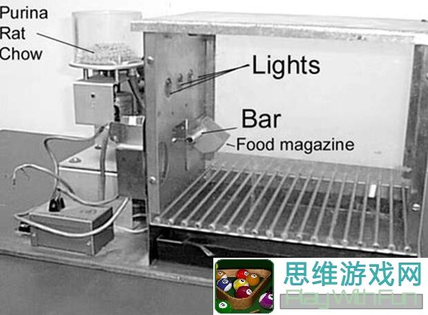 暗区突围：揭秘斯金纳箱实验在用户心理学中的应用