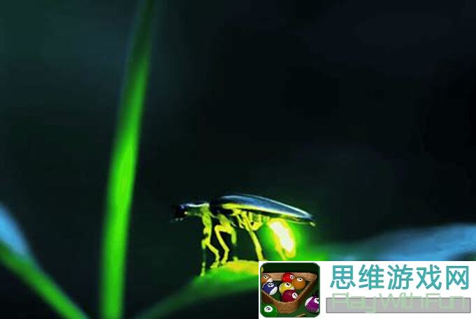 灵魂宝戒菜鸡也能变神级！十二宫英雄全攻略