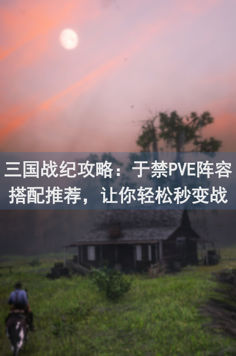 三国战纪攻略：于禁PVE阵容搭配推荐，让你轻松秒变战神！