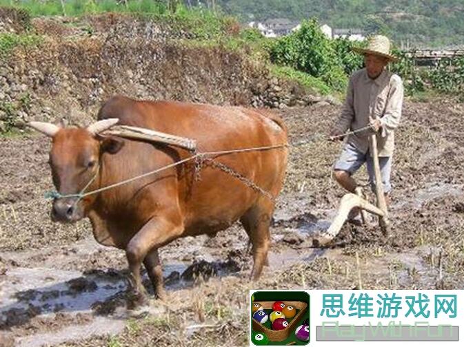 像素时代耕田达人指南：种植技巧大揭秘，教你轻松收获黄金攻略！